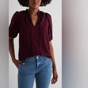 V-Neck Sheer Puff Sleeve Drawstring Top